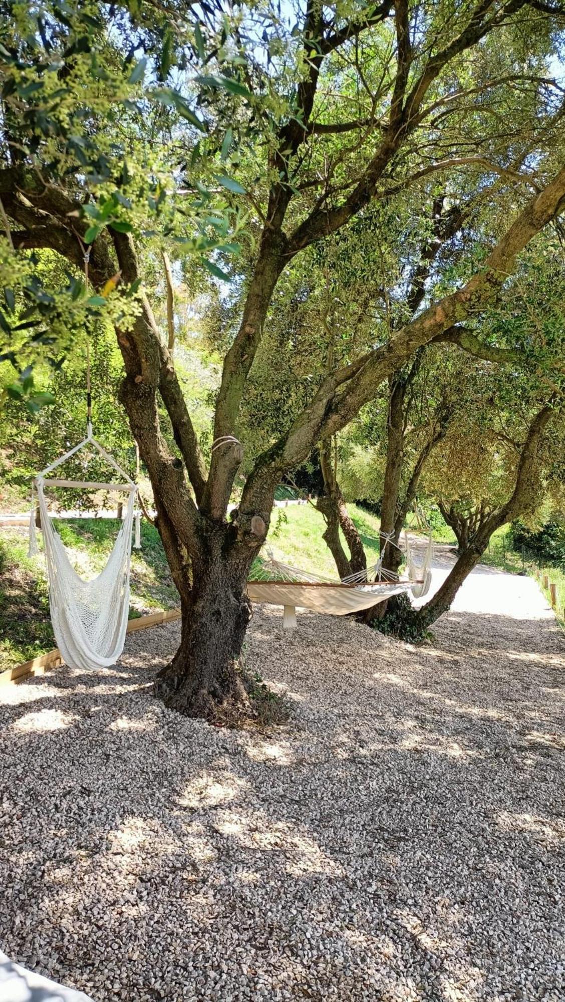 Tuffudesu Experience (Adults Only) Bed & Breakfast Osilo Bagian luar foto